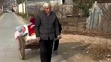 98岁老人感冒浑身疼，让儿子拉着走走