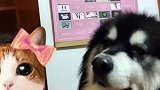 十一点多睡的正香被我亲醒了