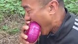 硬菜一锅炖，吃完来点饭后水果
