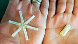 人类福音！女性月服避孕药研发成功 将进入人体测试