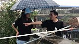 流浪猫被困25米高空，7天不吃不喝，小哥暴雨中营救！