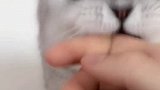 我这家庭地位一天不如一天