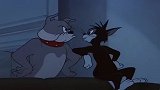 猫和老鼠：野猫嘲笑电影中的恶狗，恶狗却在它后面