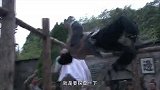 为了查出教授的下落，小伙故意被抓进监狱