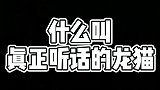 嗯，非常听话，拍完就奖励了一个大鸡腿！