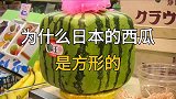 为什么日本的西瓜是方形的
