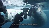 男子开船外出钓鱼，一只海豹跳了上来，怎么都不肯走
