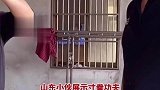 山东小伙展示寸拳功夫