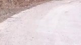 开车差点冲下山，还好被大石头挡住了，网友：赶紧拜一拜