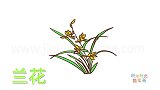 植物简笔画大全，画漂亮的兰花简笔画