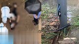 武汉普降暴雨到大暴雨 一名男子小区意外触电身亡