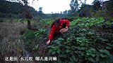 桃子姐带女儿去土里摘菜，做一盘爆炒猪肝，一家人吃得美滋滋
