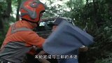 【艾斯19】小孩千万不能吹牛说大话，不然肚脐可能被超兽夺走