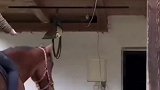美女一看就是攀岩高手，核心力量真强！