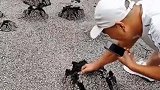 什么情况，石头都开始发芽了嘛？