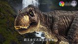 巨齿鲨VS霸王龙，最强生物的对决，谁的咬合力最强！
