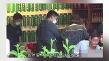郭晶晶母亲罕见露脸，蓬松浓发高鼻梁，同坐豪宅窗前光景很一般