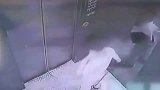 男童拽断键盘线致电梯按键失灵，急的生趴电梯门