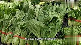 超市这4种蔬菜，别再买回家了我也今天才知道，比垃圾食品还脏