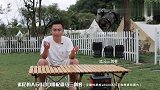 出门旅行应该如何选择拍摄设备？入门篇来喽！