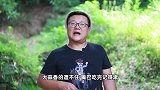 鲢鱼这么做才够味，阿米秘制“大蒜烧鲶鱼”肉质细腻，入口即化
