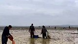 中国第一大淡水湖鄱阳湖干旱，村民到干涸水域捡鱼