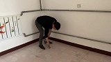 丹丹去鹏鹏家帮忙，刚到家差点和嫂子打起来，咋回事