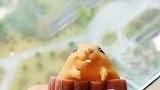 解压玩具 有女朋友了，只有难过的时候偷偷在窗台玩会了