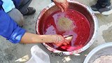 中朝边境农村喜宴，厨师灌血肠里加啤酒，刚出锅大家就抢着吃