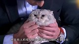 高以翔遗作定档，原著作者发文：不会辜负高以翔才华