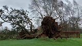 英国和爱尔兰遭强风暴袭击 已致1死多伤