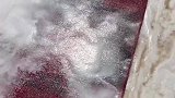 地毯清洗，清洗干净以后这也解压了