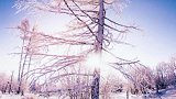 雪乡和内蒙古阿尔山的冬季哪个漂亮？