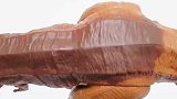 趣味恐龙玩具大集合：霸王龙、速龙、三角龙、剑龙、翼龙、甲龙！