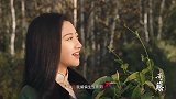 司腾：景甜剧中一身旗袍造型，一举一动太妖艳，观众们都被迷醉了