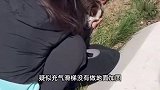 大风掀翻3吨重滑梯，一人一犬瞬间“抛飞”，狗狗去世，官方通报
