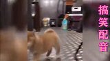 干饭不积极，思想有问题