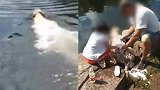 辽宁一狗主人公园湖边用沐浴露给爱犬洗澡 洗完留下一池泡沫