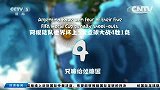 世界杯-14年-淘汰赛-决赛-阿根廷的夺冠梦想-新闻