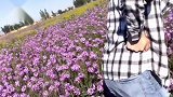 评级 10天变20天，长视频没人看，难搞