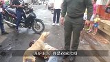 狗狗一直拦住小女孩，不让她下海游泳，网友狗狗觉得你有危险