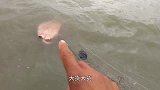 海水异常浑浊，小伙意外收获年老毒物