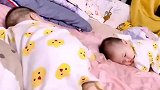 来自双胞胎的默契，同步爬起来掉头，再同步趴下去！