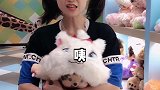 姐，你会不会游泳啊