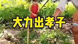 对老爸多少带点个人恩怨
