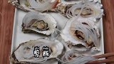 美食日记第54篇：锡纸生蚝