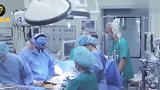已死亡17个月的尸体竟然还会移动？并且移动变化还很“显著”？