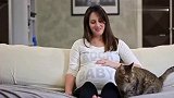 猫咪你是在听胎动吗还一副很认真的样子