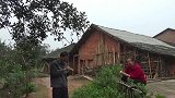 农村王四：桂花飘香，摘些熏一瓶桂花酒，挖一窝红嘴芋尝尝鲜