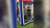 英超-1718赛季-复出在即！伊布晒训练视频状态良好-新闻